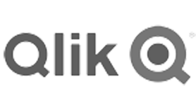 QLIK LOGO BN